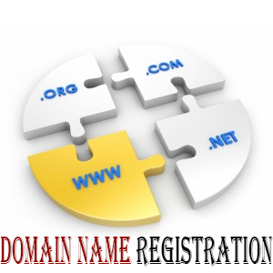 Domain Name Registration