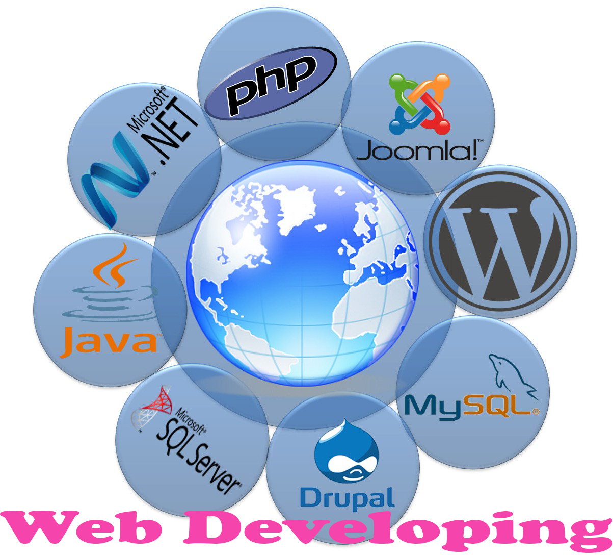 Web Development
